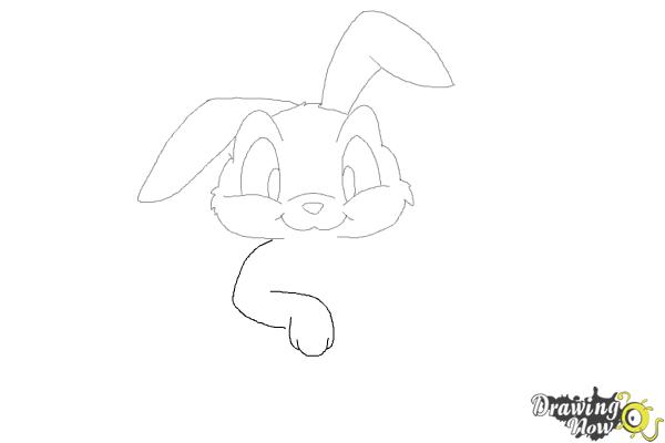 How to Draw a Rabbit Step by Step - DrawingNow