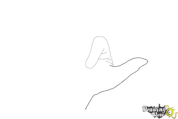 How to Draw a Hand - Step 3 How to Draw a Hand - Step 3