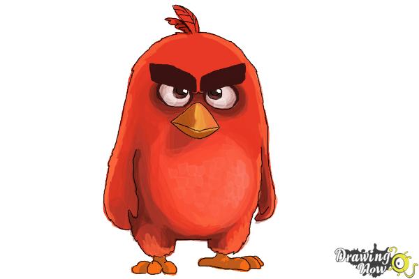 How to Draw Red Angry Bird | Lessdraw