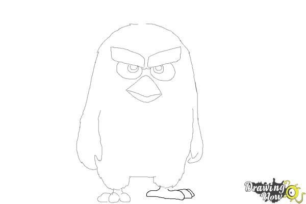 How to Draw Red from The Angry Birds Movie - Step 8