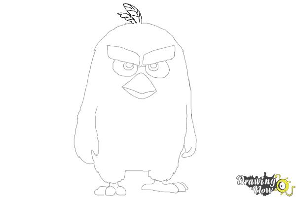 How to Draw Red from The Angry Birds Movie - Step 9