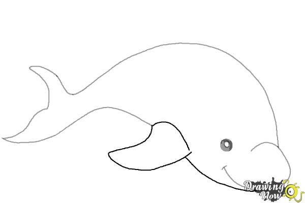 How to Draw a Dolphin - Step 5