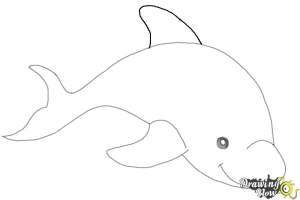 How to Draw a Dolphin - DrawingNow