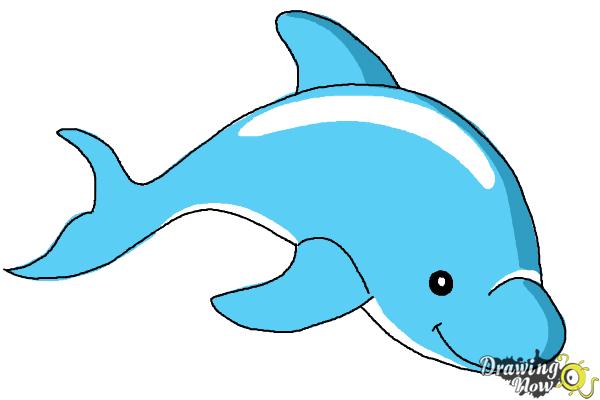 How to Draw a Dolphin - Step 7