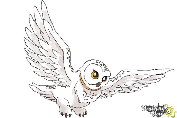 How to Draw Hedwig from Harry Potter - Step 11