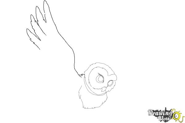 How to Draw Hedwig from Harry Potter - Step 5