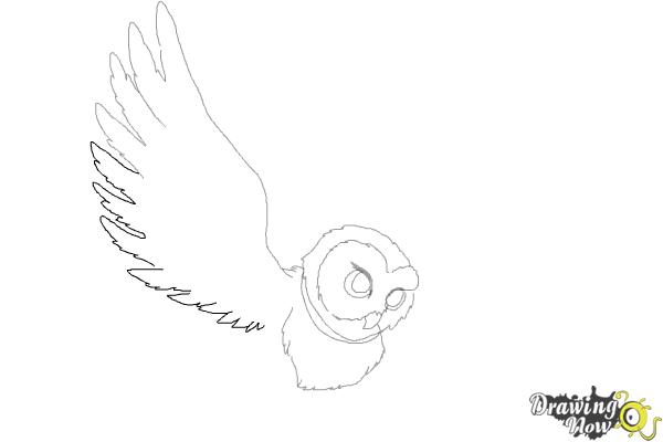 How to Draw Hedwig from Harry Potter - Step 6