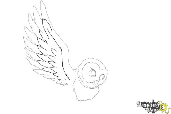 How to Draw Hedwig from Harry Potter - Step 7