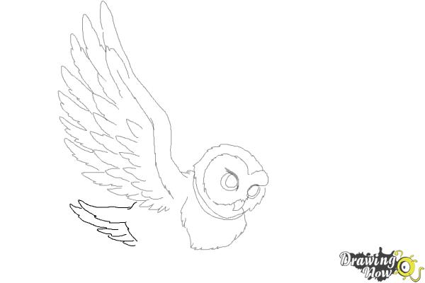 How to Draw Hedwig from Harry Potter - Step 8