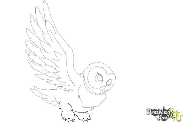 How to Draw Hedwig from Harry Potter - Step 9