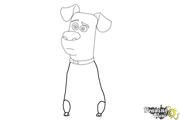 How to Draw Max from The Secret of Pets - Step 6