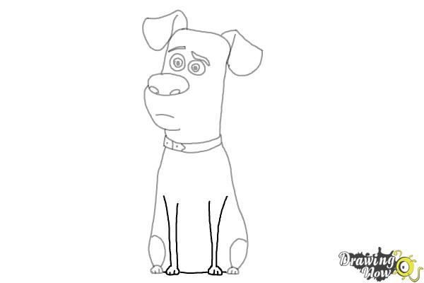 How to Draw Max from The Secret of Pets - Step 7 How to Draw Max from The Secret of Pets - Step 7