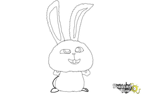 How to Draw Snowball from The Secret of Pets - Step 9 How to Draw Snowball from The Secret of Pets - Step 9