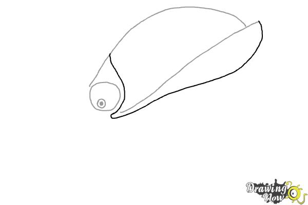 How to Draw Hal from The Angry Birds Movie - Step 3 How to Draw Hal from The Angry Birds Movie - Step 3