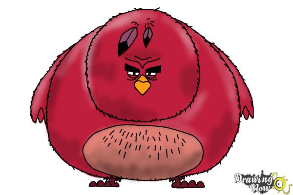 How to Draw Terence from The Angry Birds Movie - Step 10