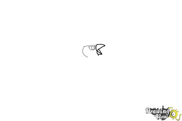 How to Draw Articuno from Pokemon - Step 2 How to Draw Articuno from Pokemon - Step 2