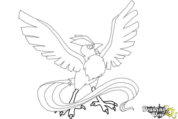 How to draw Articuno (Pokemon) 