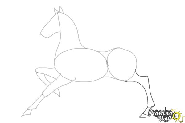 How to Draw a Horse (Ver 2) - Step 6