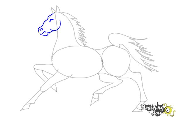 How to Draw a Horse (Ver 2) - Step 9 How to Draw a Horse (Ver 2) - Step 9