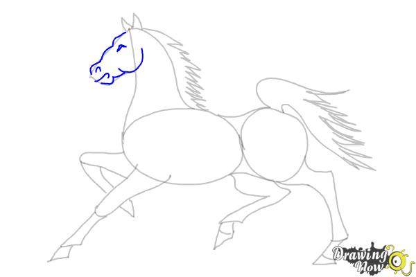 How to Draw a Horse (Ver 2) - Step 9