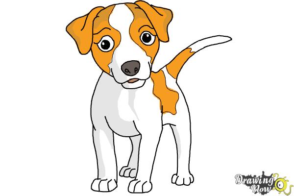 How to Draw a Dog - Step by Step - DrawingNow