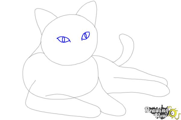 How to Draw a Cat - Step 5