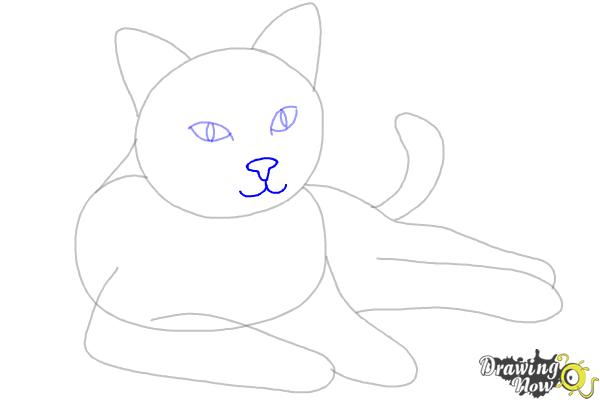 How to Draw a Cat - Step 6