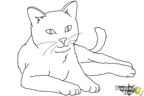 Coloring Page