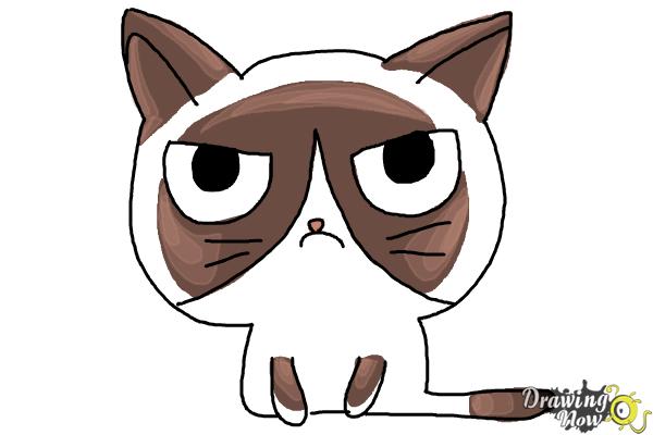 How to Draw a Grumpy Cat - Step 10