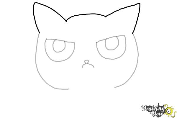 How to Draw a Grumpy Cat - Step 5