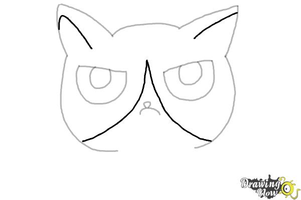 How to Draw a Grumpy Cat - Step 6