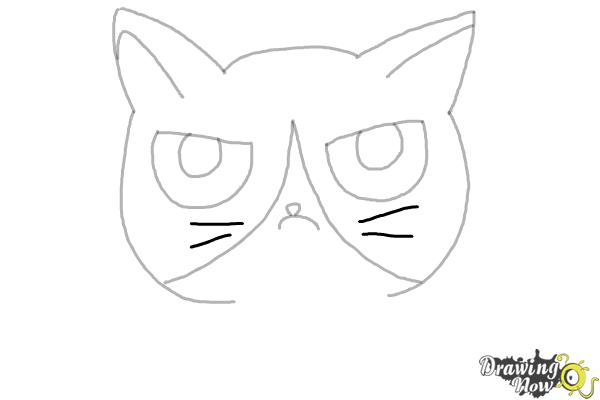 How to Draw a Grumpy Cat - Step 7