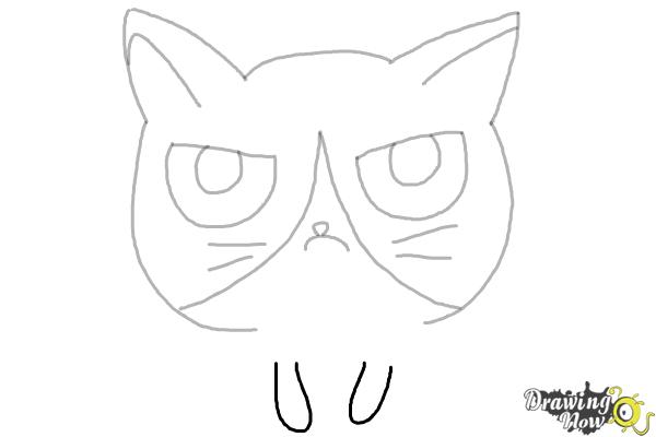 How to Draw a Grumpy Cat - Step 8