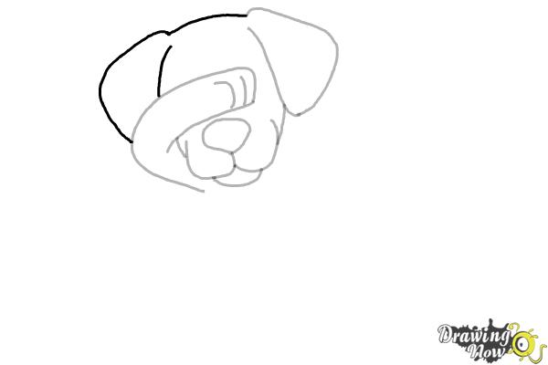 How to Draw a Cute Dog Dabbing - Step 6