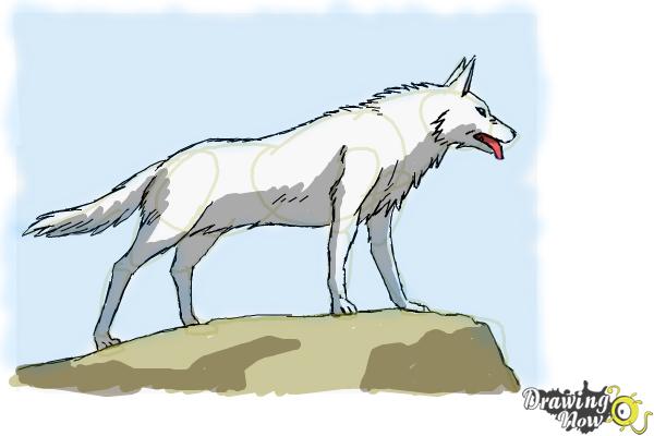 Anime Wolf Drawing HighQuality  Drawing Skill