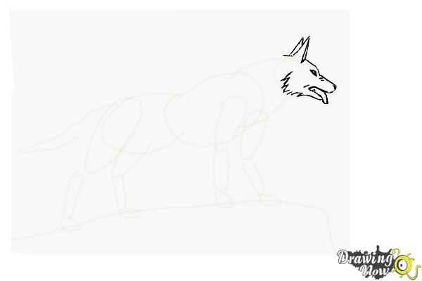 How to Draw an Anime Wolf - Step 6