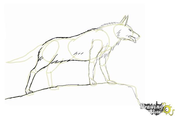 How to Draw an Anime Wolf - Step 8