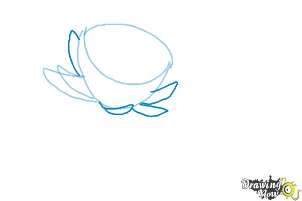 How to Draw a Lotus Flower, Water Lily - Step 3 How to Draw a Lotus Flower, Water Lily - Step 3