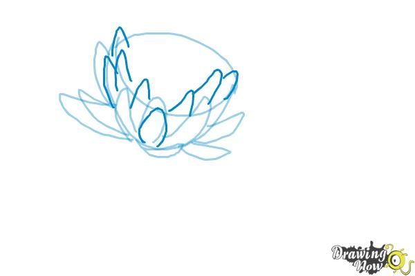 How to Draw a Lotus Flower, Water Lily - Step 5