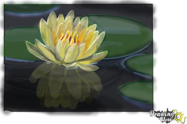 How to Draw a Lotus Flower, Water Lily - Step 8