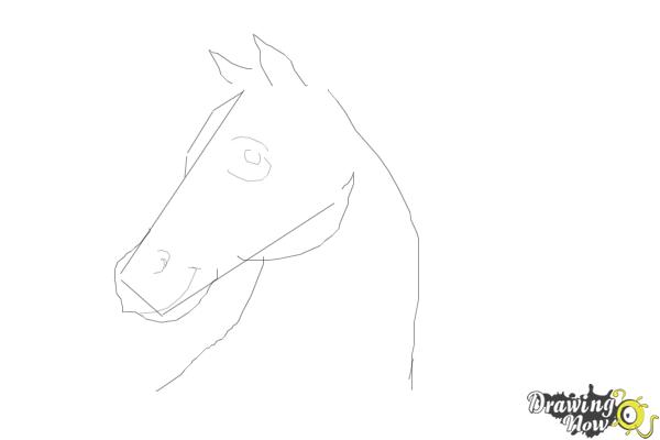 how to draw a horse head step by step for kids