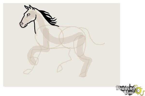 How to Draw a Horse Step by Step - Step 6