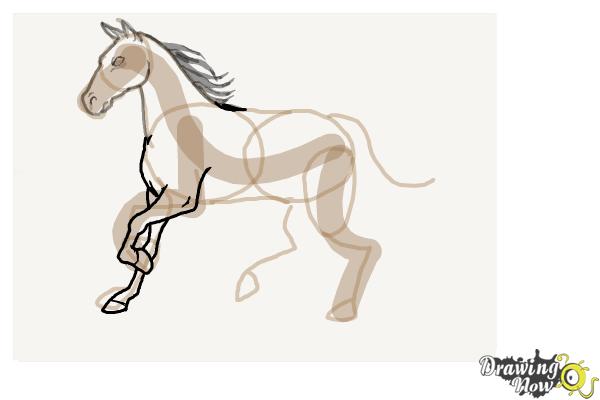 How to Draw a Horse Step by Step - Step 7
