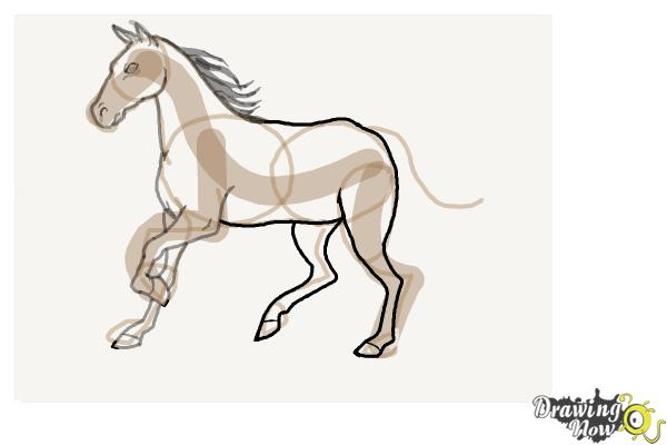 How to Draw a Horse Step by Step - Step 8