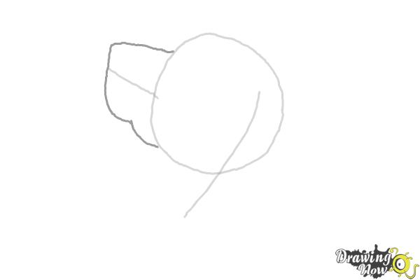 How to Draw a Cocker Spaniel - Step 2