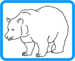 Bear coloring page