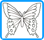 Butterfly coloring page