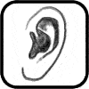 Ears