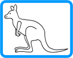 kangaroo