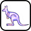 Draw a Kangaroo